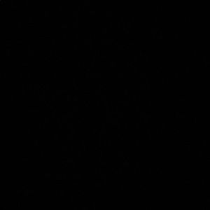 Meet your Posher, Sealey